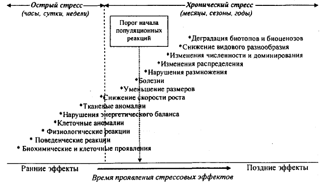 ЕГЭ по биологии Задание 26